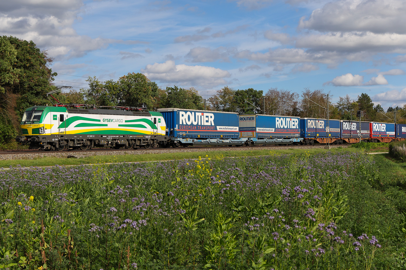 1293 204 GysevCargo am 9.10.26 bei Eglharting.