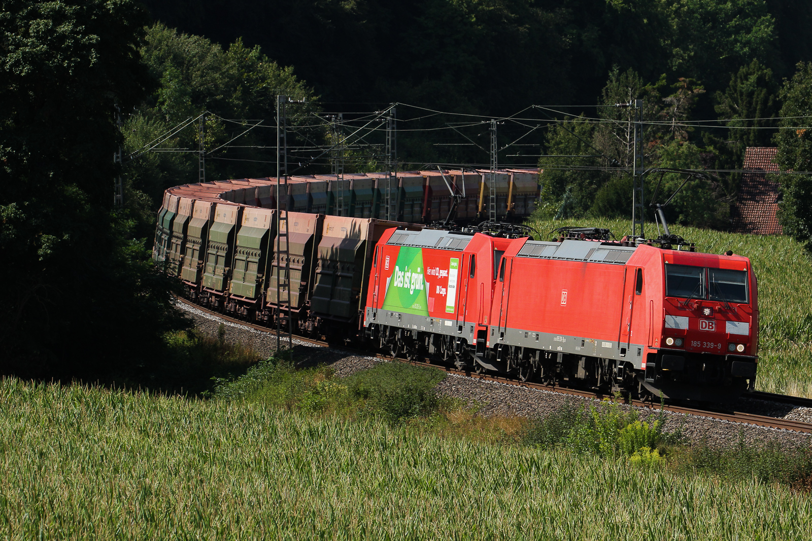 185 339 und das ist grün 185 205 am 6 August 2026 bei Breitenfurt.