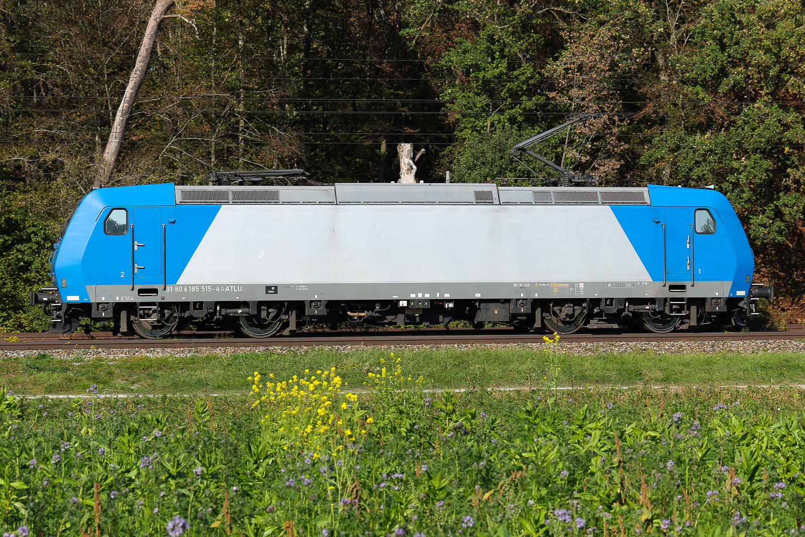185 515 ATLU blau/silber am 29.9.2026 bei Eglharting.