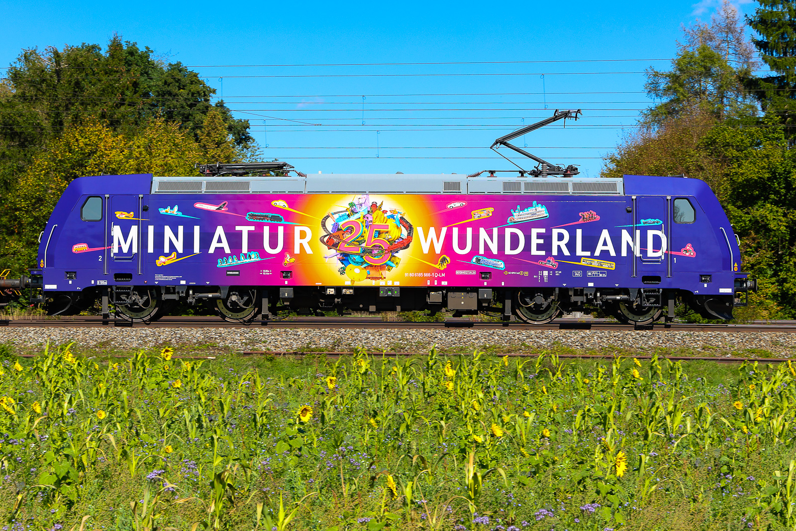 185 666  25 Jahre Miniaturwunderland  zum ersten Mal gesehen und dann in so schöner Landschaft dazu. 25/9/26 Eglharting.
