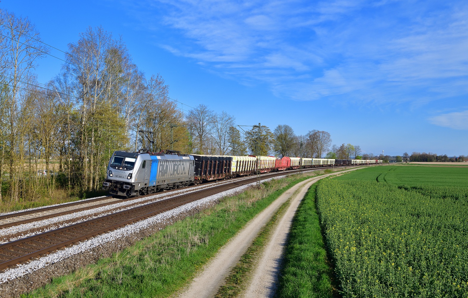 187 345 mit einem Schnittholzzug am 21.04.2023 bei Langenisarhofen.