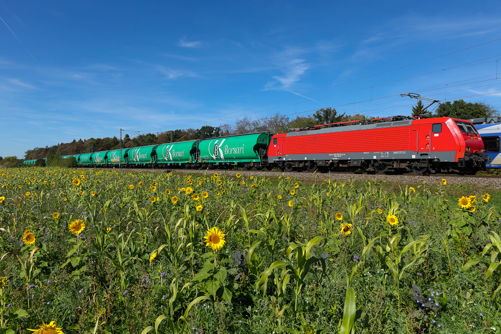 189 223 ex Db Cargo nun für lokomotion im Einsatz mit diesen Ganzzug an Borsari Wagen am 27.09.26 bei Eglharting.