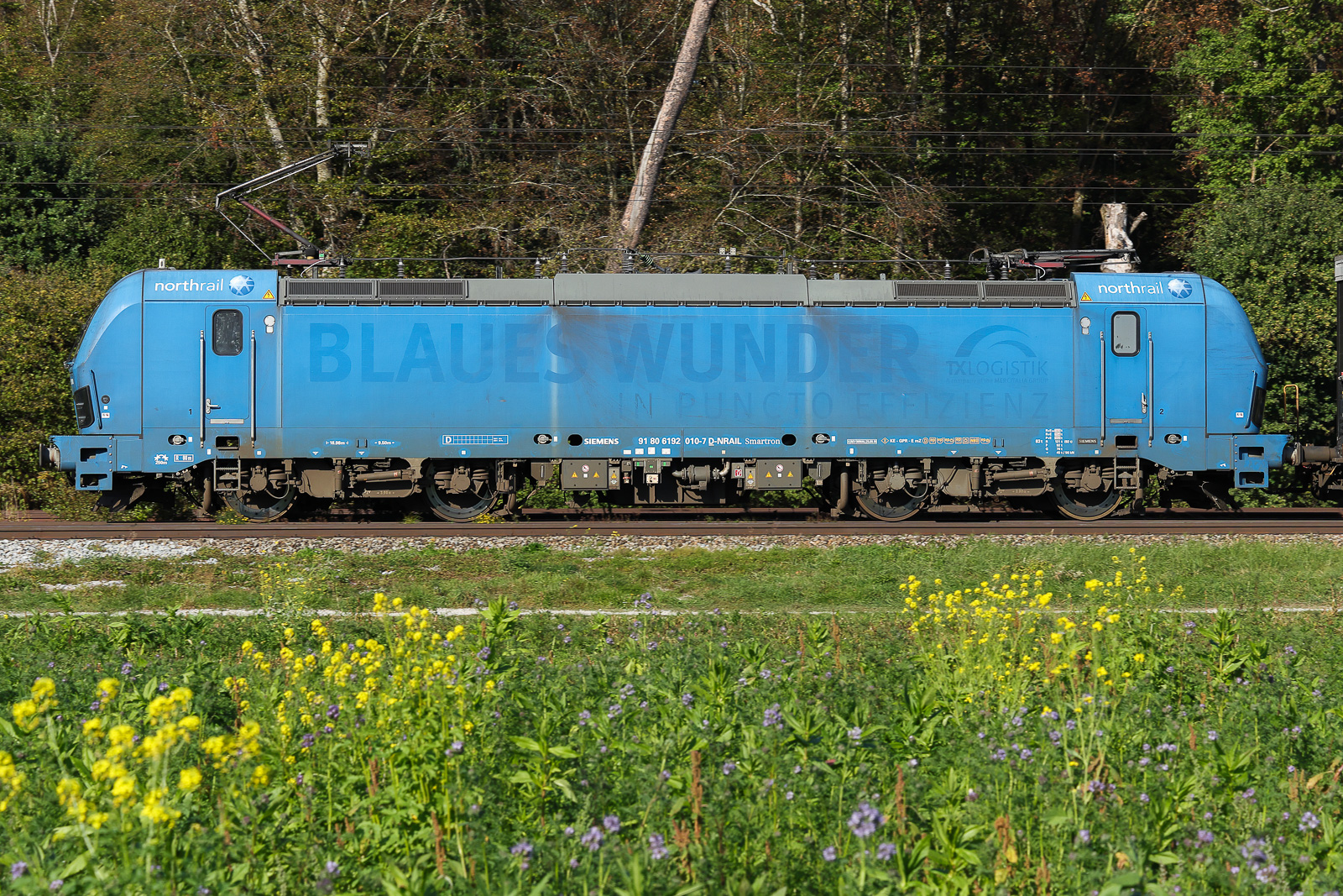 192 010 ohne Aufschrift „blaues Wunder“ am 29.9.2026 bei Eglharting.