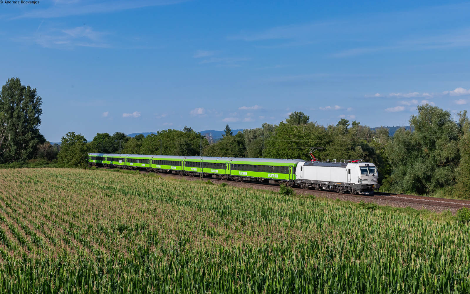 193 443 mit dem FLX 1243 (Berlin Hbf - Basel Bad Bf) bei Ringsheim 18.7.24