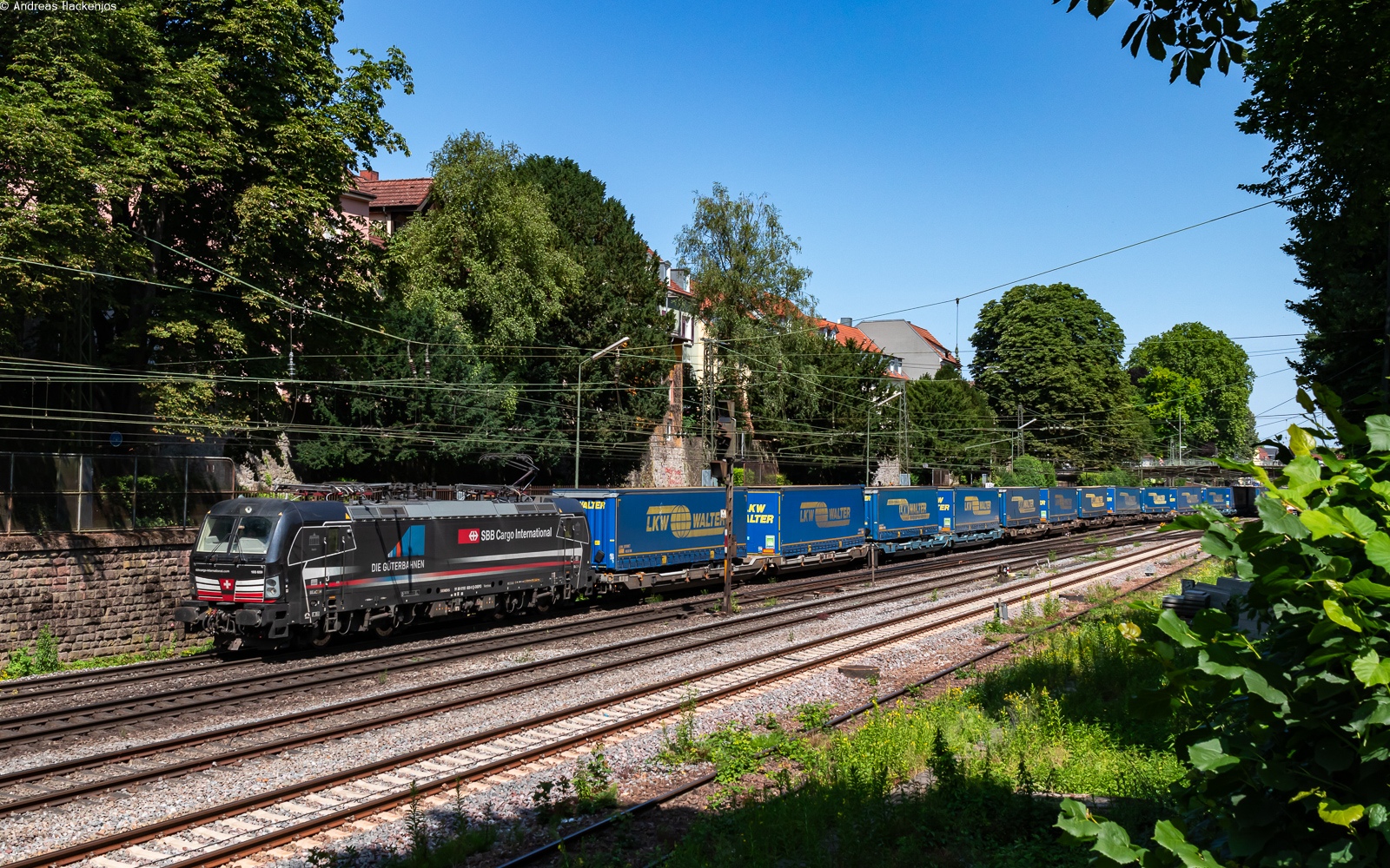 193 659	mit dem DGS 43707 (Lübeck Skandinavienkai - Novara Boschetto) in Offenburg 17.6.25