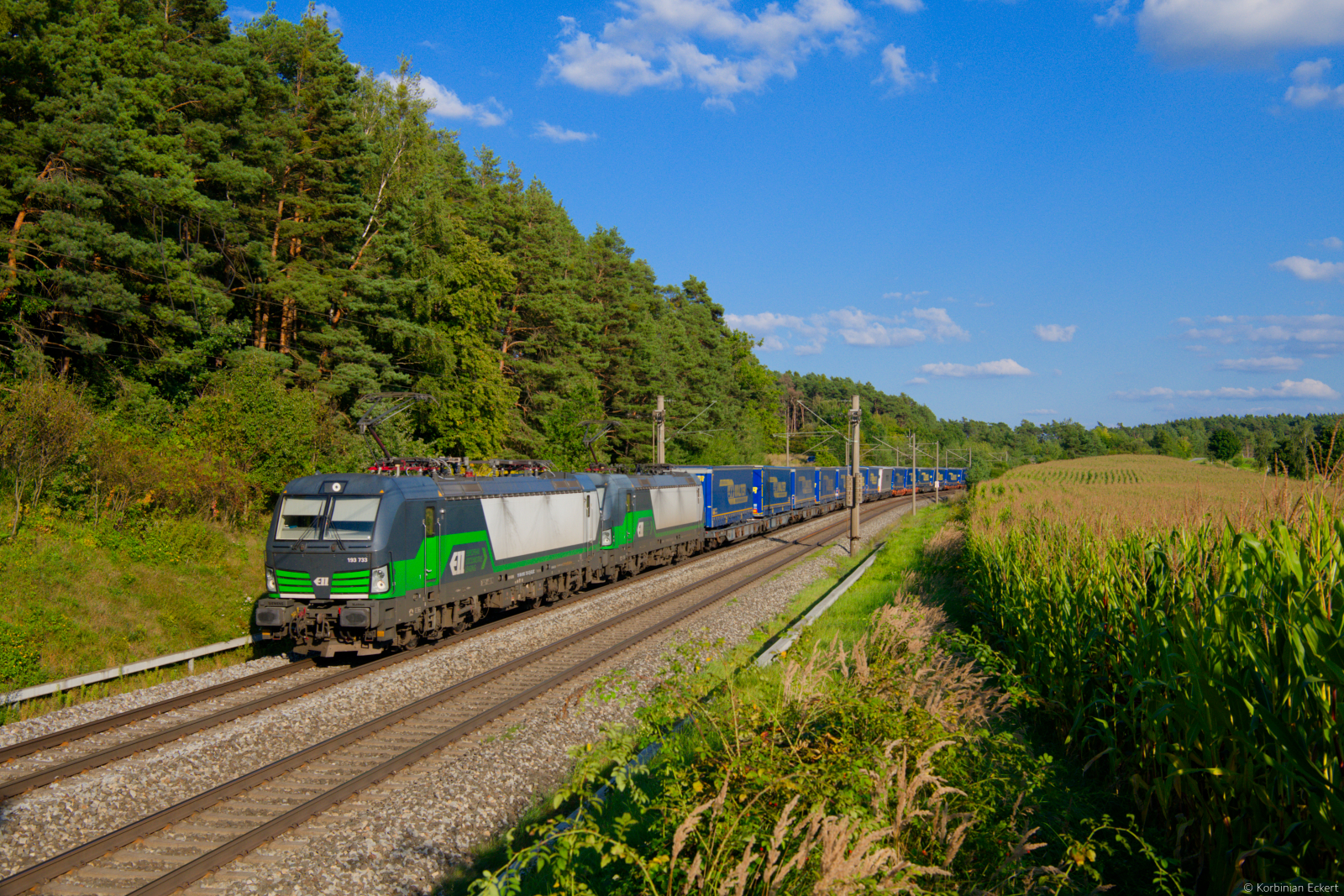 193 733 ELL/TXL und 193 234 ELL/TXL mit einem LKW-Walter KLV-Zug bei Hagenbüchach Richtung Würzburg, 04.09.2021