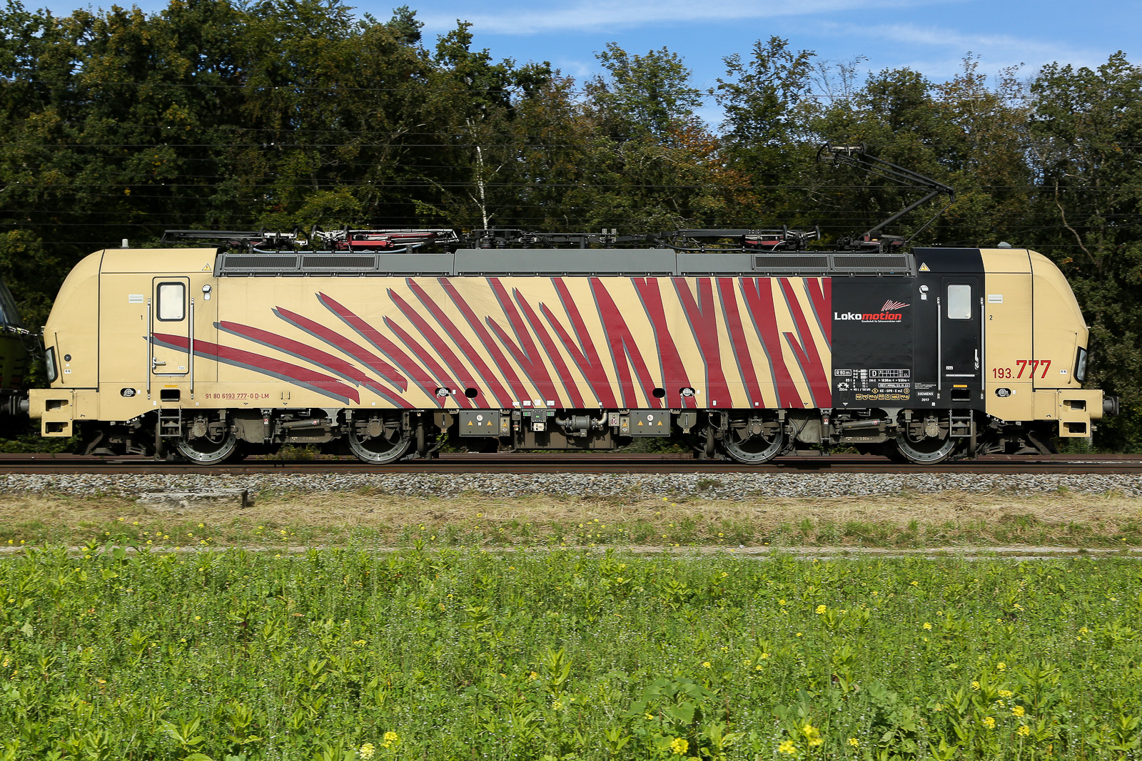 193 777 von Lokomotion am 06.10.24 bei Eglharting. 