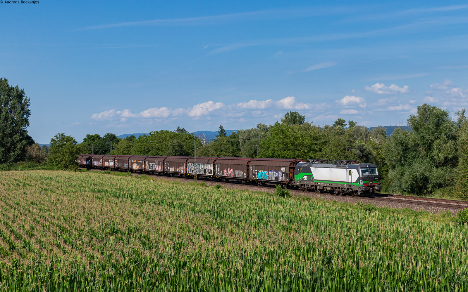 193 829 mit dem DGS 42694 (Offenburg Gbf - Buchs) bei Ringsheim 18.7.24