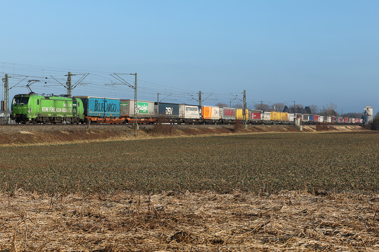 193 996  keine Füße, kein Abdruck  und doch leicht dreckig, zwischen Balldham und Zorneding in voller Länge zu sehen am 4 Februar 2025.