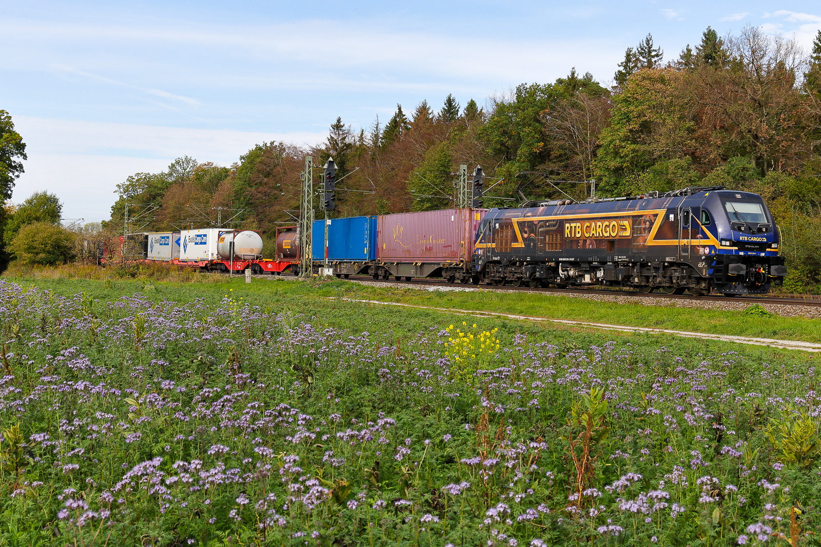 ''2019 315 Steampunk'' bei Eglharting auf dem Weg nach Rosenheim am 15.10.2026.