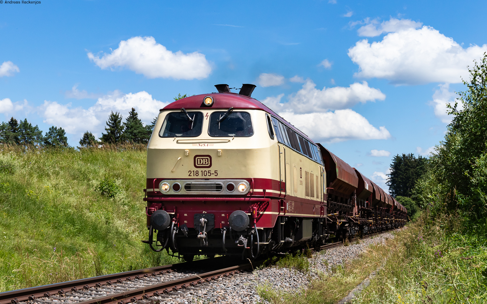 218 105	mit dem DGV  82361  (Horb - Villingen) bei Marbach 8.7.24