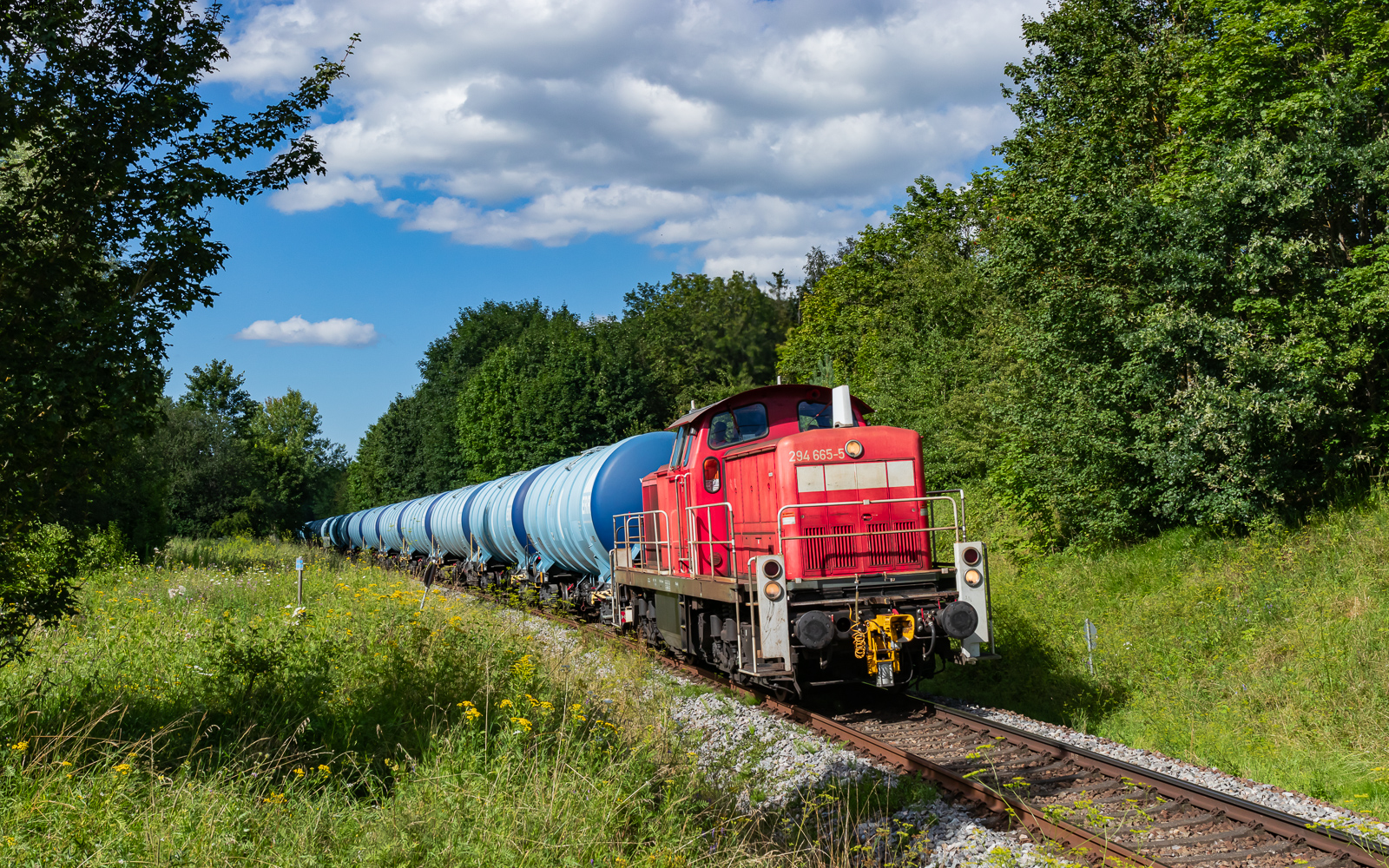 294 665 mit dem GAGC 60245 (Rammelswiesen - Villingen) bei Schwenningen 5.8.24
