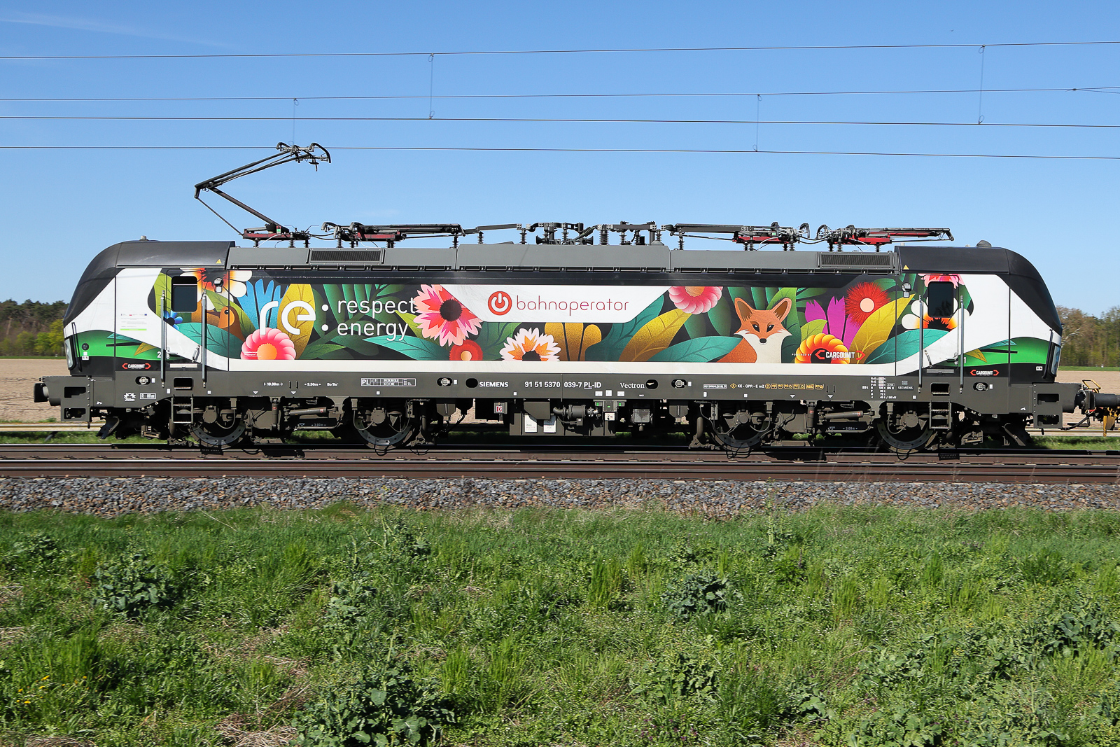 370 039 cargounit / bahnoperator fährt Richtung Magdeburg. Auch hier ein schlauer Fuchs inmitten von Blumen.
