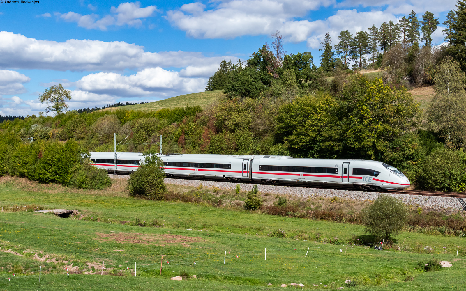 408 031 als ICE 903  Schwarzwald  (K�ln Hbf - Konstanz) bei Stockburg 12.9.26
