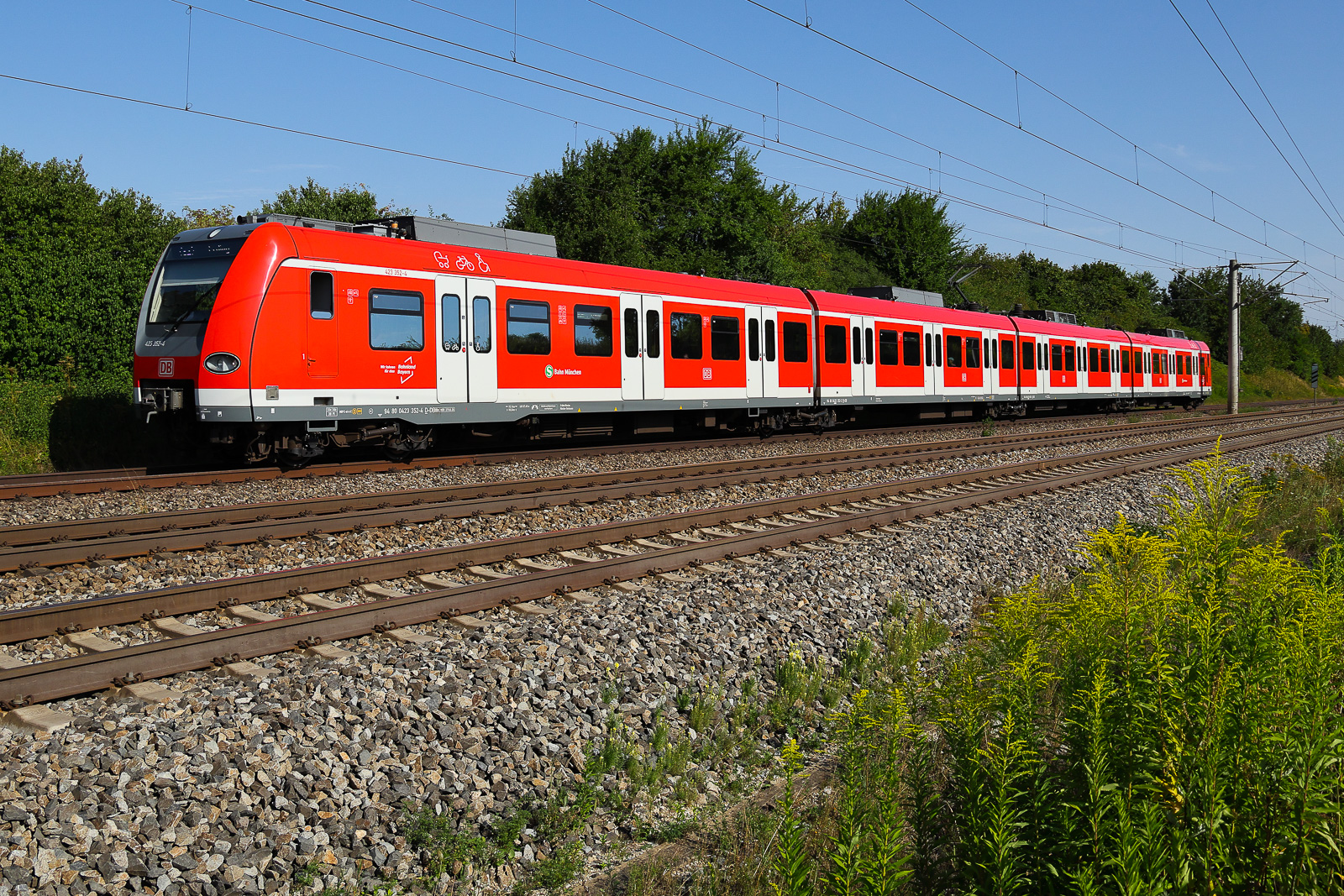 423 352 Einzel S-Bahn M�nchen am 11 August 2026 bei Vierkirchen.