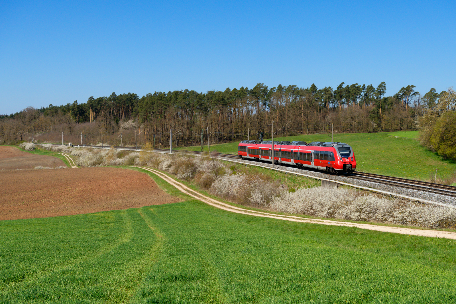 442 246 DB Regio als S4 39433 (Dombühl - Nürnberg Hbf) bei Sachsen bei Ansbach, 25.04.2021