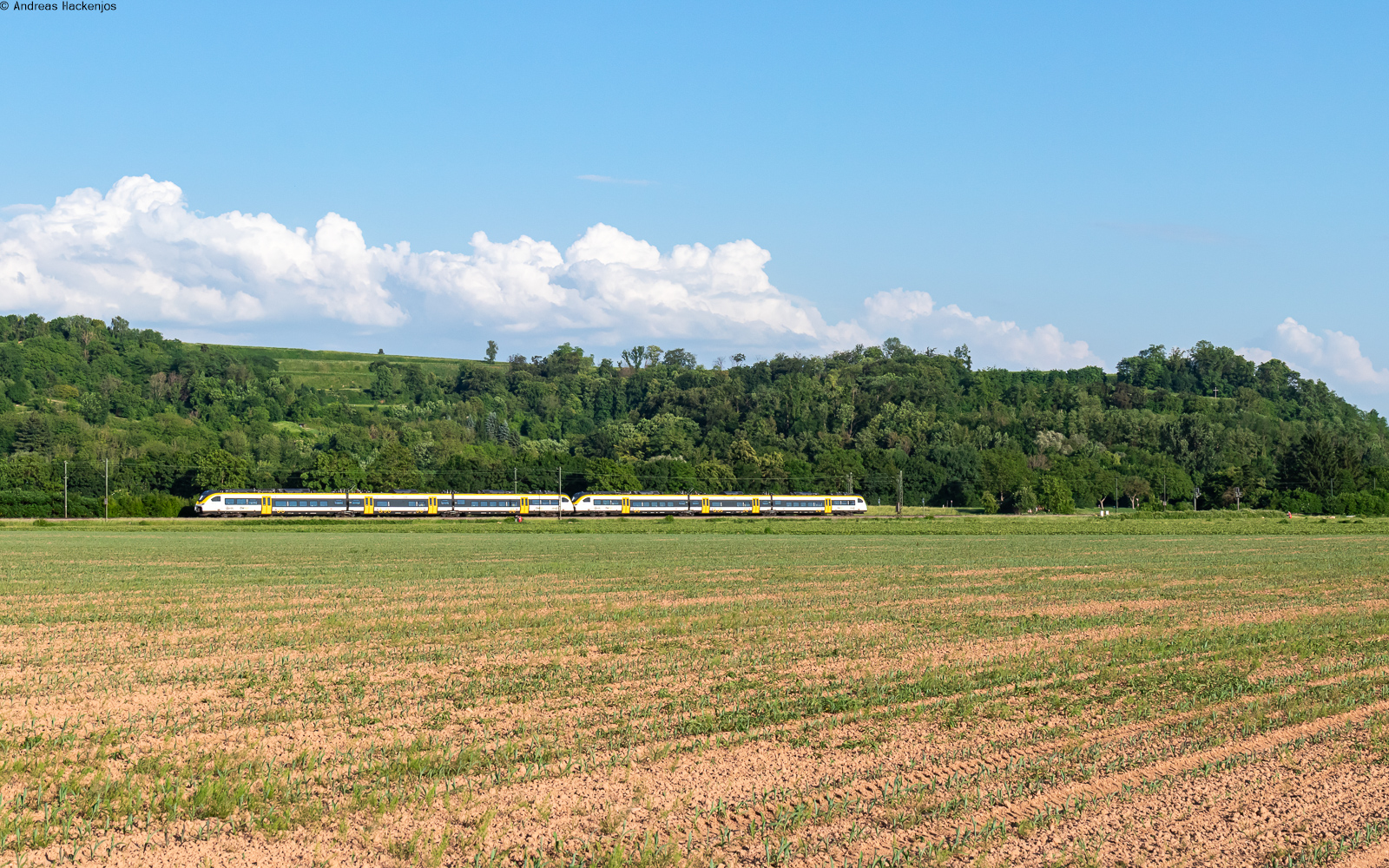 463 083 und 463 016 als RB 17128 (Freiburg Hbf - Offenburg) bei Kenzingen 27.5.26