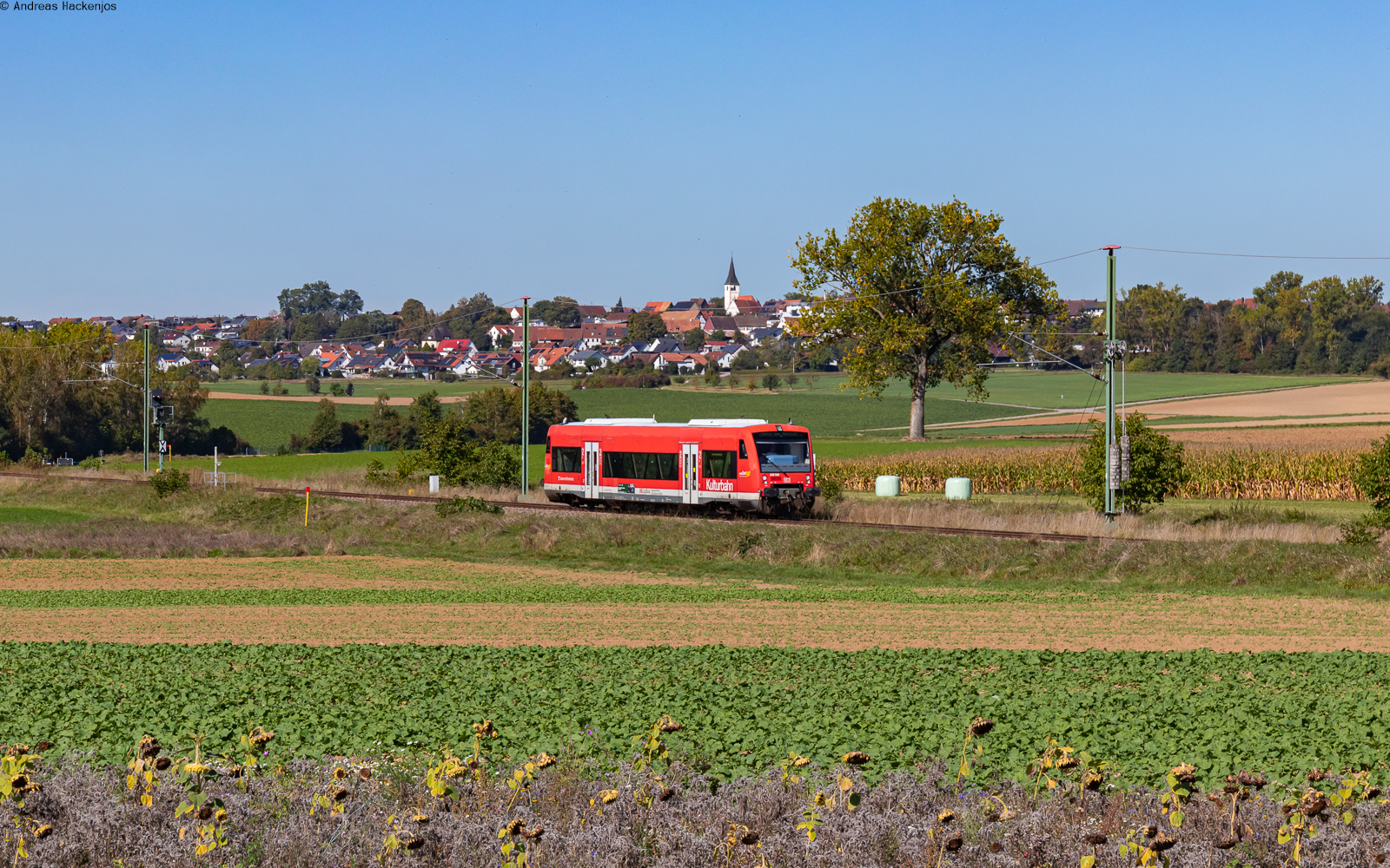 650 309	als RB 17917 (Pforzheim Hbf - Horb) bei Eutingen 26.9.23