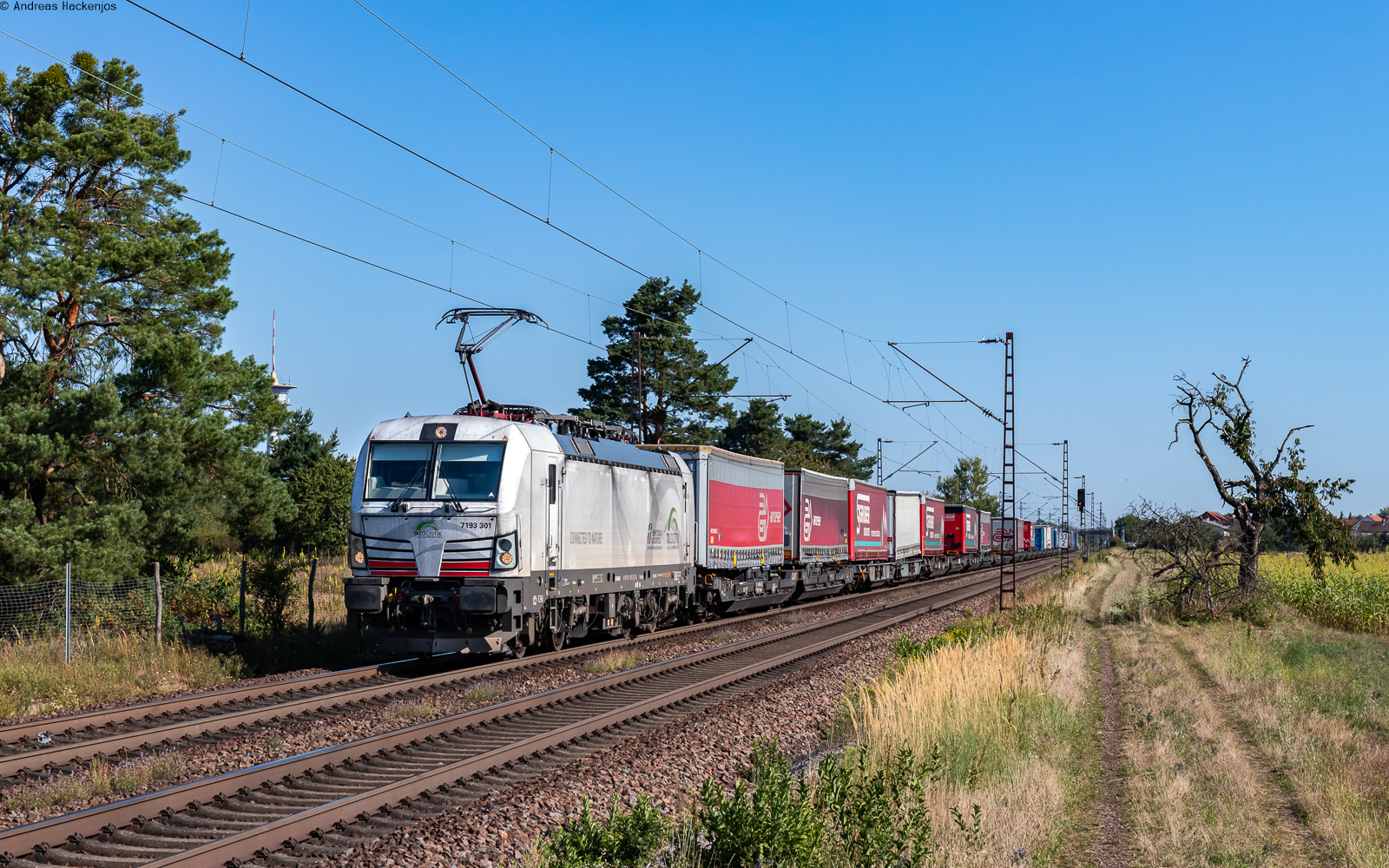 7193 301 mit dem DGS 90974 (Köln Eifeltor - Karlsruhe Gbf) bei Wiesental 19.8.25