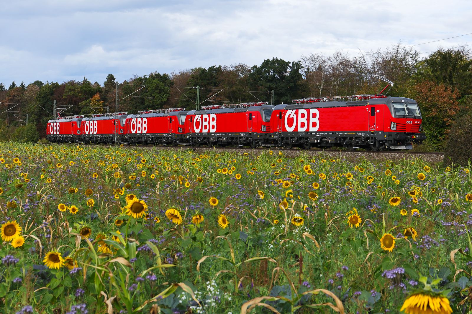 8. Oktober 2026 bei Eglharting, kam unverhofft dieser Lokzug mit der letzten Lieferung an Vectrons für die ÖBB vorbei.