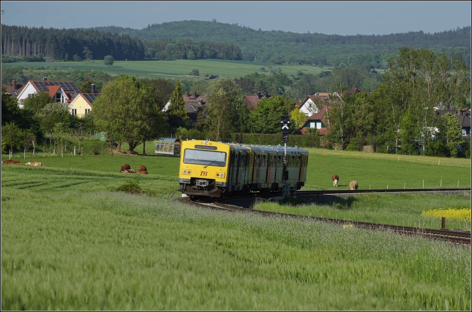 Abgesang auf die Taunus Elevated.

609 014 HLB VT14 und 609 017 HLB VT17 bei Wehrheim auf dem Weg nach Bad Homburg. Mai 2022.