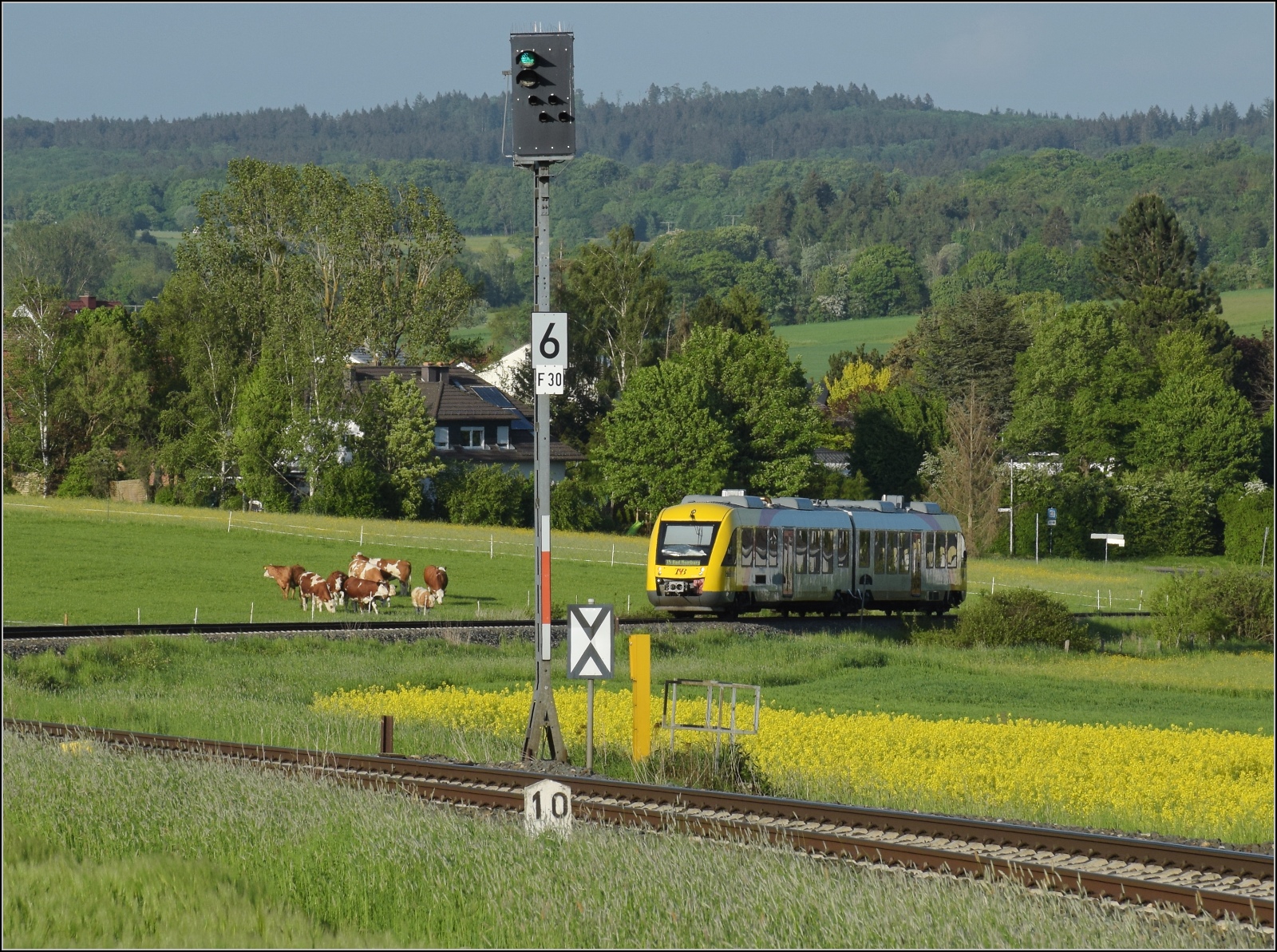 Abgesang auf die Taunus Elevated.

648 401 HLB VT201 bei Wehrheim auf dem Weg nach Bad Homburg. Mai 2022.