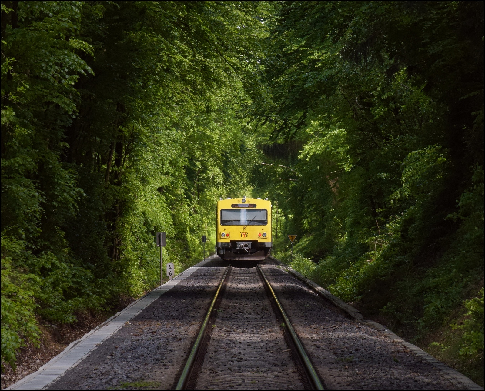 Abgesang auf die Taunus Elevated.

Nachschuss auf 609 006 HLB VT06 und 609 003 HLB VT03 vom Bahnübergang Pionierweg zwischen der Saalburg und Köppern auf dem Weg nach Frankfurt Hbf. Mai 2022.

Für Zweifler: Das Bild entstand vom gemeinsamen Verkehrsraum des Bahnübergangs unmittelbar NACH Durchfahrt des Zuges.