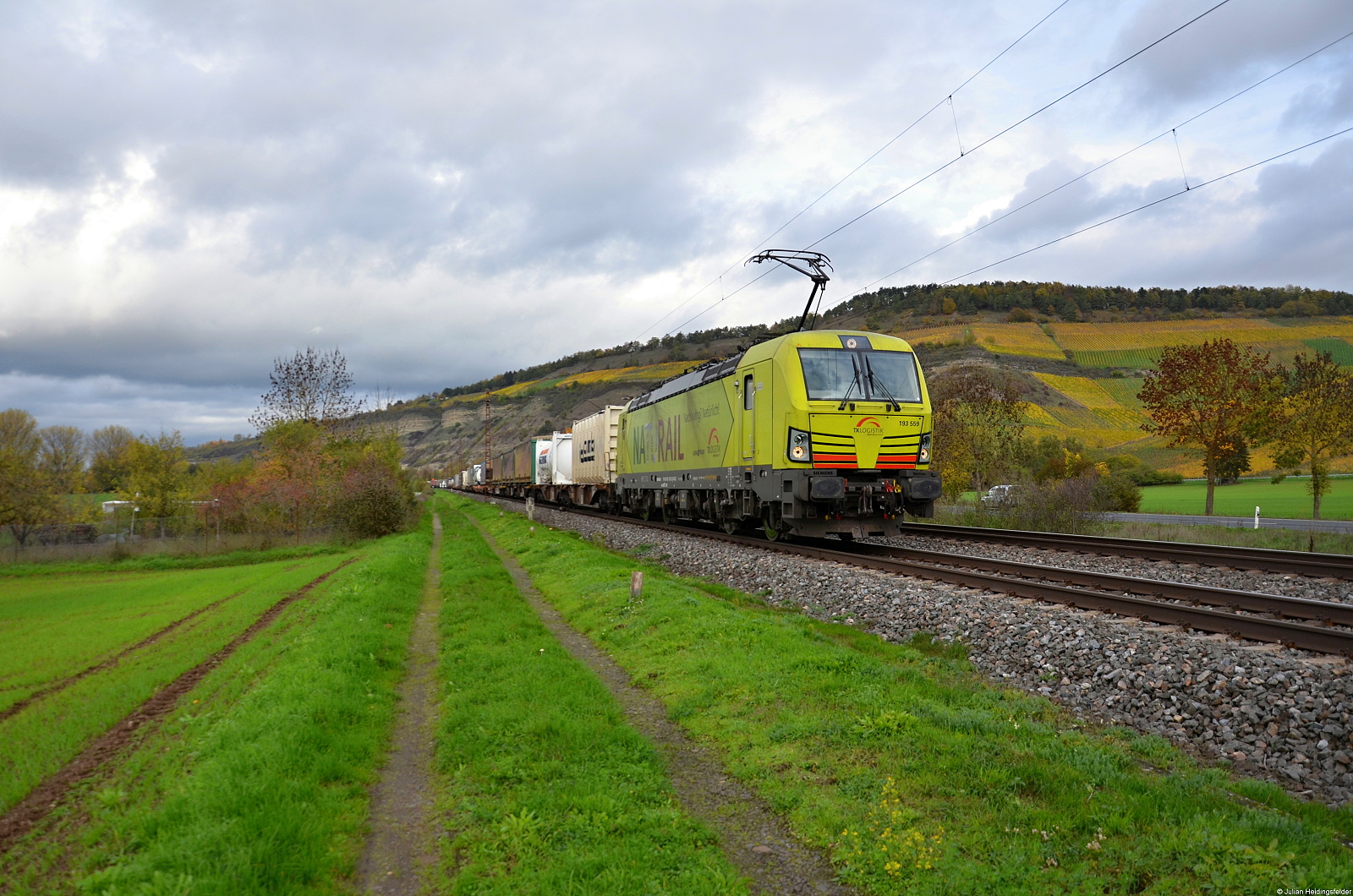 Alpha Trains/TX Logistik Werbelok 193 559-2  Naturail  fährt mit ihrem Containerzug in Richtung Würzburg. Die Lok passt farblich sehr gut zu den herbstlichen Weinbergen. Thüngersheim 01.11.2022
