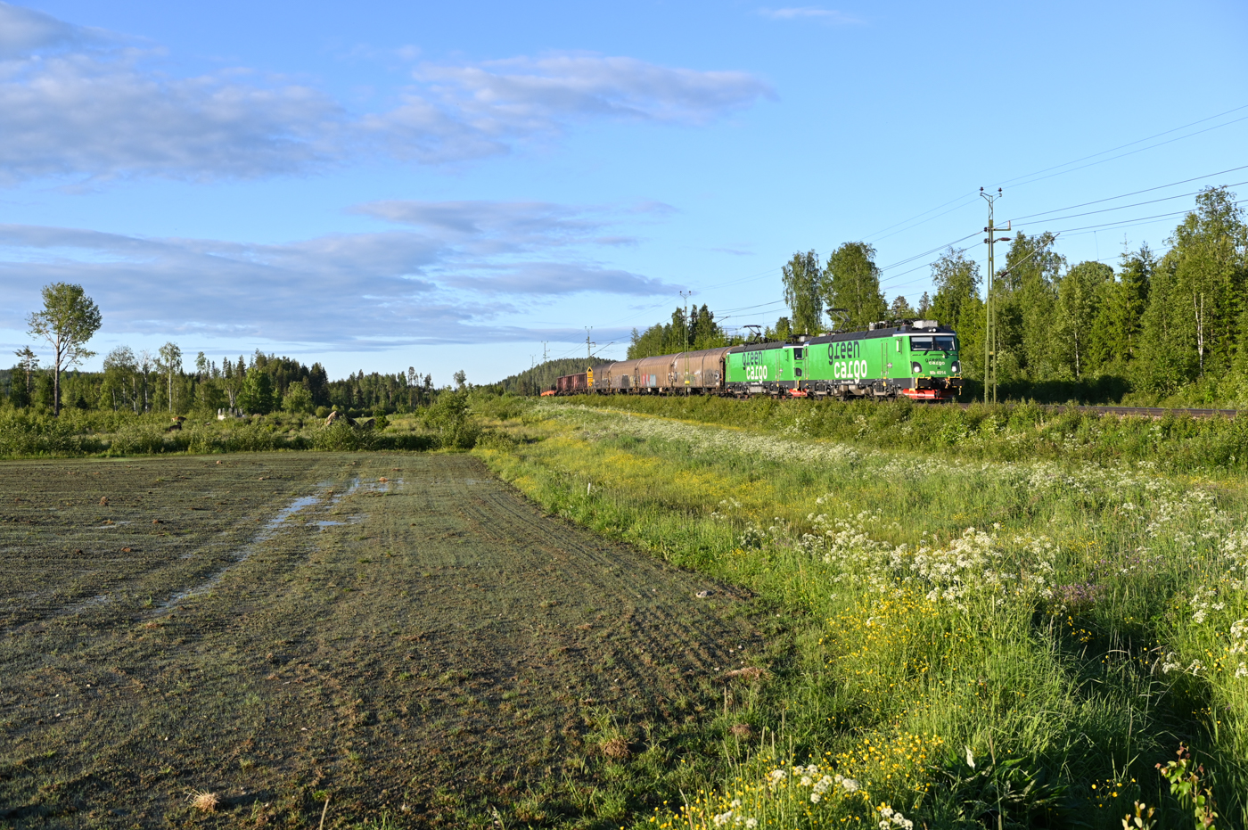 Am frühen Morgen des 20.06.2022 gegen 4:40 Uhr ist der Green Cargo Zug 6838 mit rund 180 Minuten Verspätung südlich von Vindeln bei Degerås in Richtung Norden unterwegs. Zuglok ist die Mb 4014, eine Softronic Transmontana.
