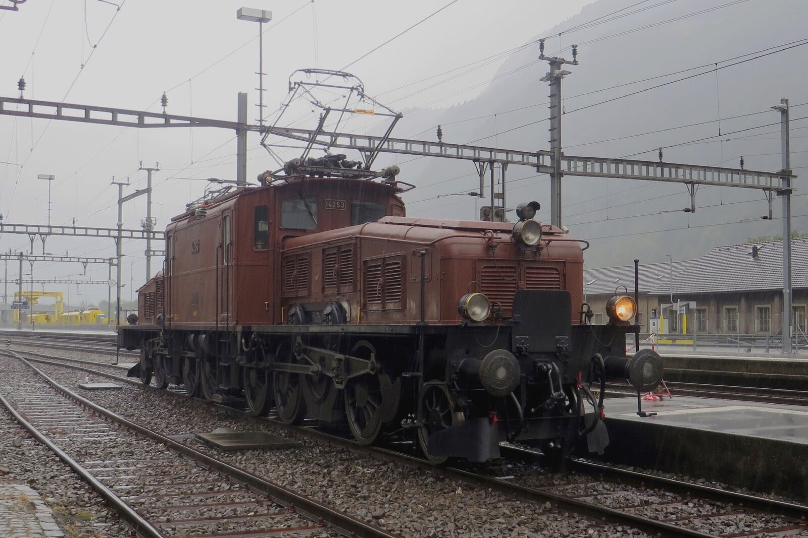 Auch der brauner Schweizerkrokodil Helvetosuchus Historicensis fühlt sich wohl ins Wasser, wie SBB Historic 14253 am ganz verregneten 19 September 2019 ins Bahnhof von Erstfeld unter Beweis stellt.