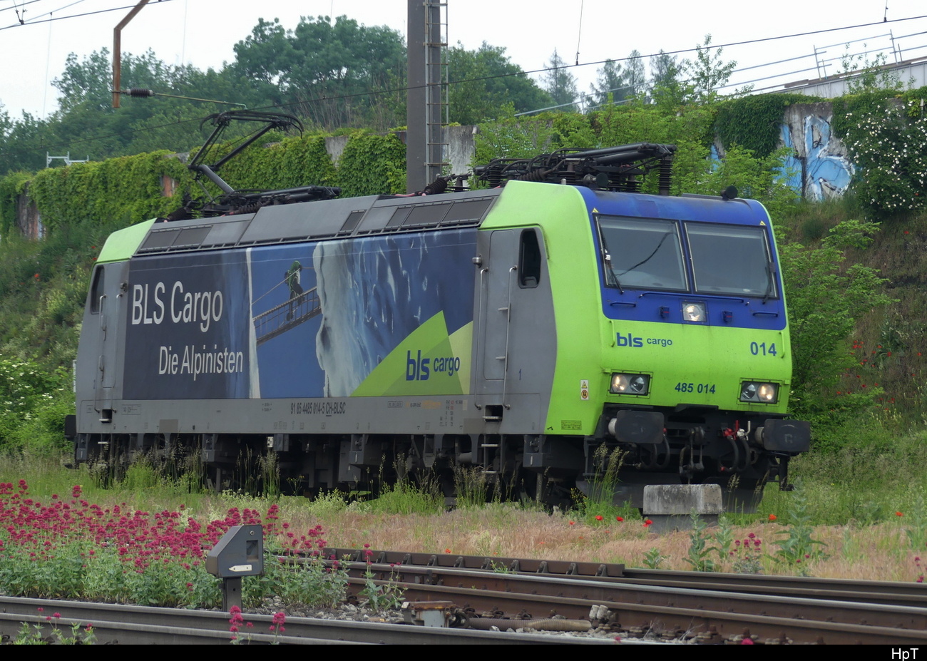BLS - Lok 485 014-5 unterwegs im Bhf. Areal von Pratteln am 23.05.2023