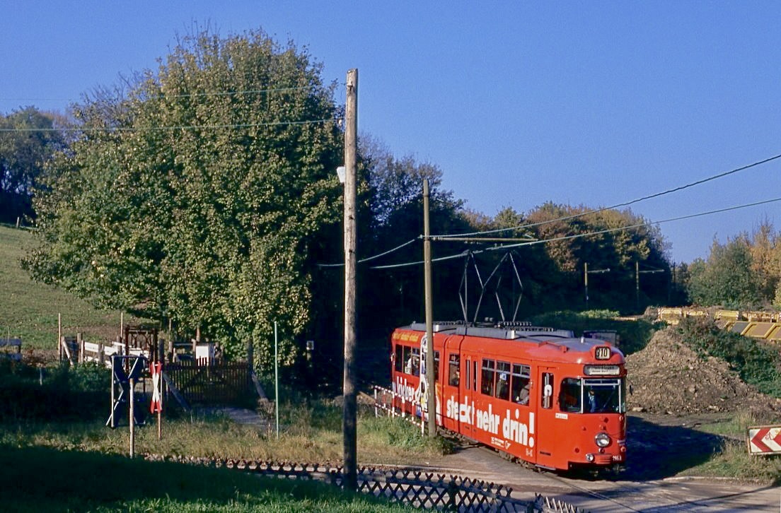 Bochum 295, Papenholz, 29.10.1993..