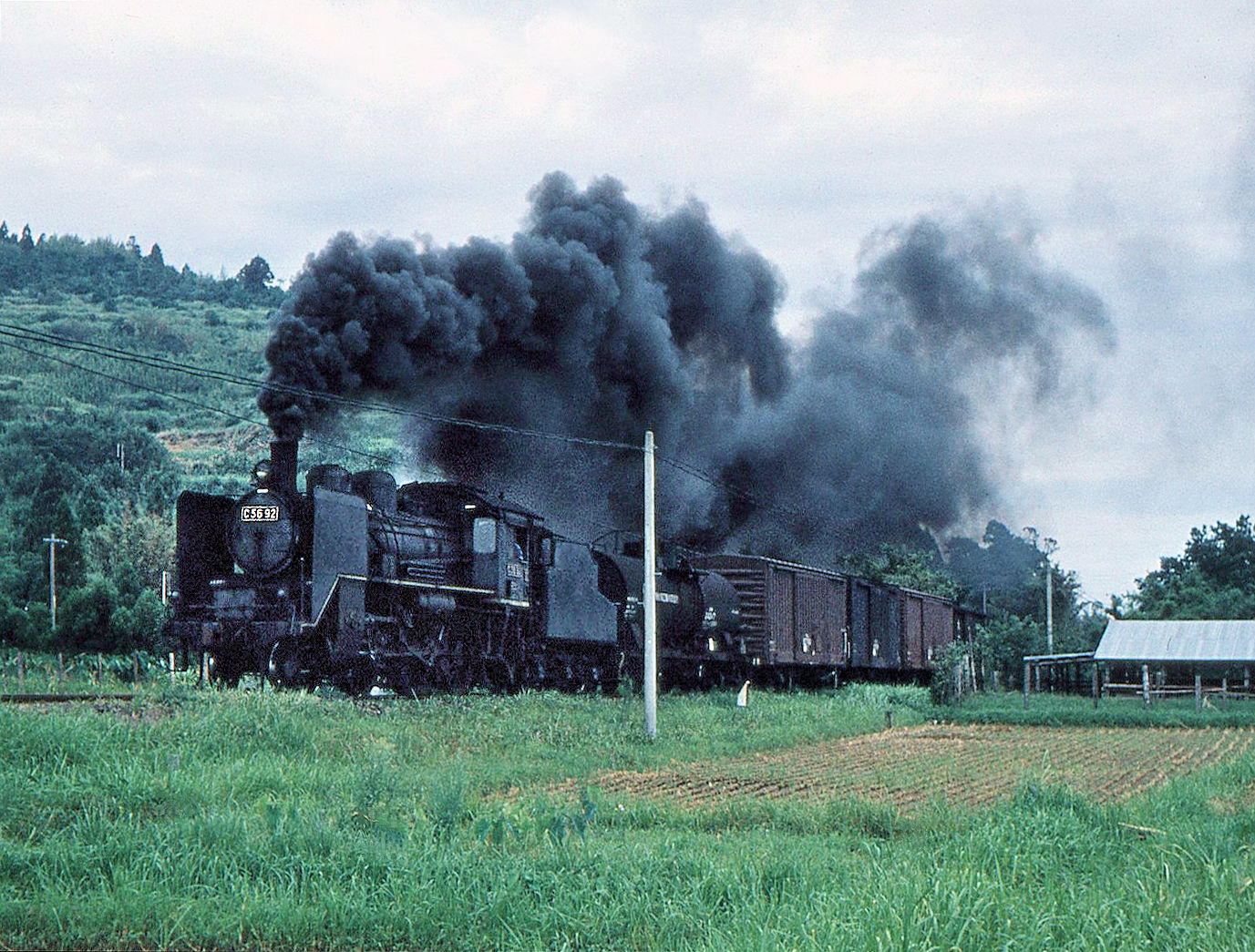 C56 92 mit einem Lokalgüterzug bei Aoshima im Südosten von Kyûshû, 13.August 1972.