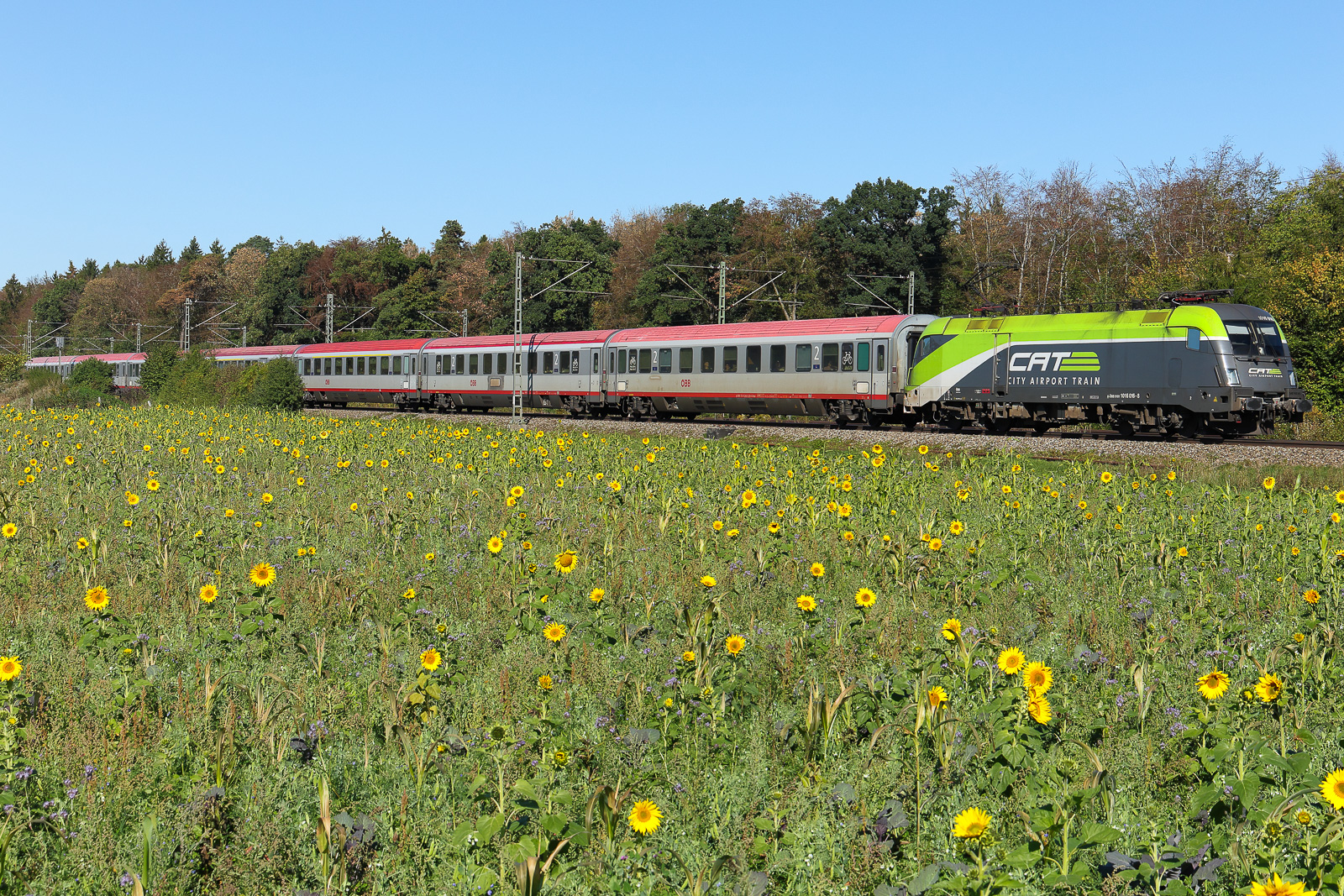 CAT 1016 016 an einem Railjet  am 25.9.26 bei Eglharting.