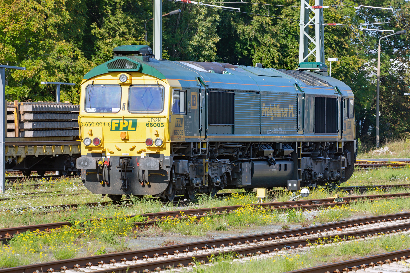 Class 66 Freightliner PL abgestellt in Bergen auf Rügen. - 15.09.2023
