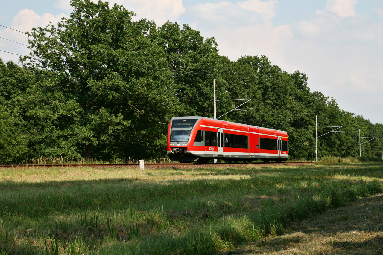 DB Regio 646 ___ // Aufgenommen in Schwedt (Oder) im Umfeld des Bahnübergangs Försterei Berkholz. // 27. Juli 2012