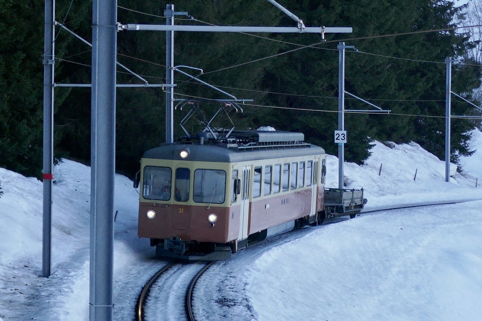 Der Be 4/4 31  Lisi  der BLM am 28.1.24 nach dem Überqueren der Staubbachbrücke zwischen Grütschalp und Winteregg.
