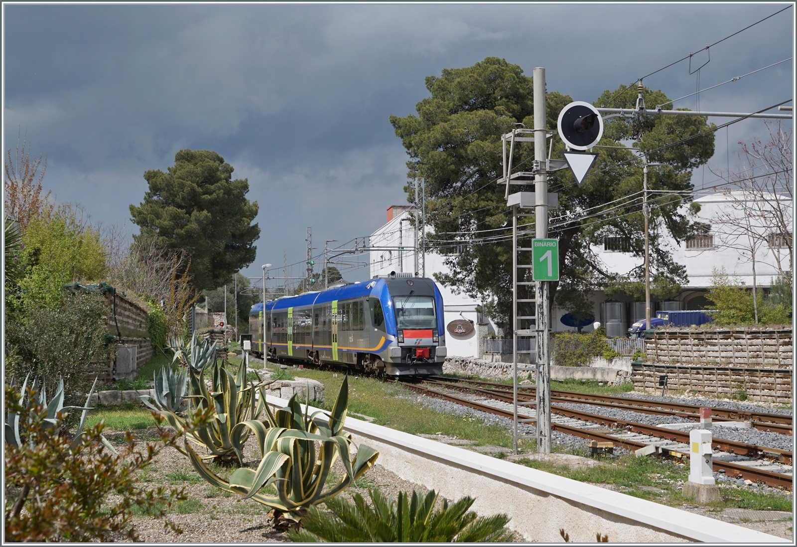 Der Gegenzug, der FS Trenialia FSE ATR 220 012 auf der Fahrt von Putignano nach Martina Franca erreicht als Regionale 92131 den Bahnhof Alberobello, beachtenswerd die schön Vegetation im linken Bildteil.

20. April 2023