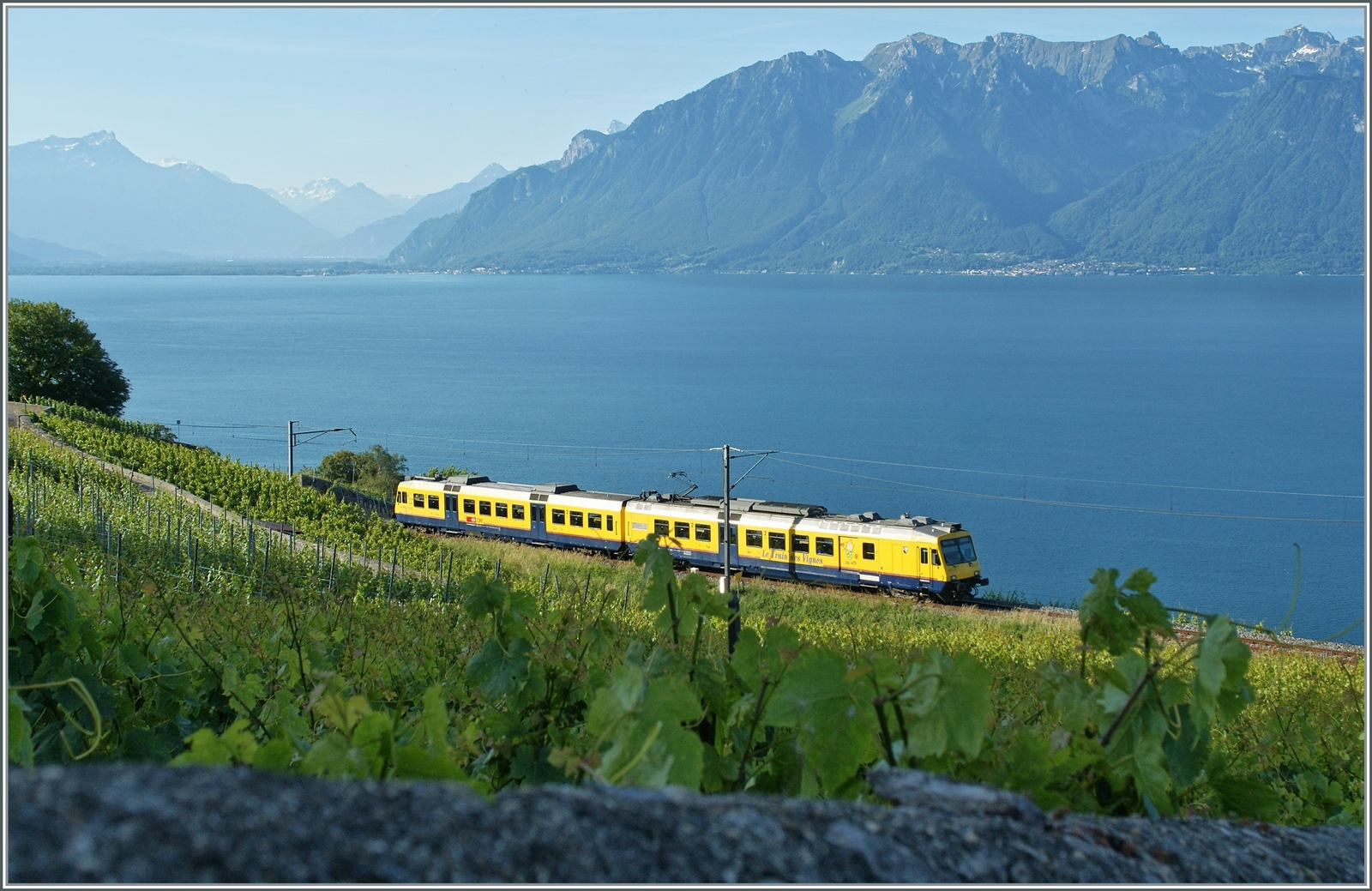 Der RBDe 560 131  Train de Vignes  ist auf seiner Strecke hoch über dem Genfersee auf der Fahrt von Vevey nach Puidoux-Chexbres unterwegs. 

29. Mai 2011