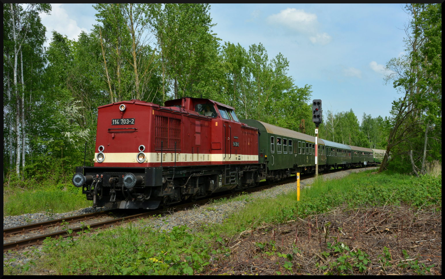 Die Diesellok 114 703-2 (PRESS) kommt am 21.05.2023 mit dem Sonderzug PTB 89422 Espenhain – Leipzig Hbf am Einfahrsignal des Bahnhofs Espenhain um die Kurve. 