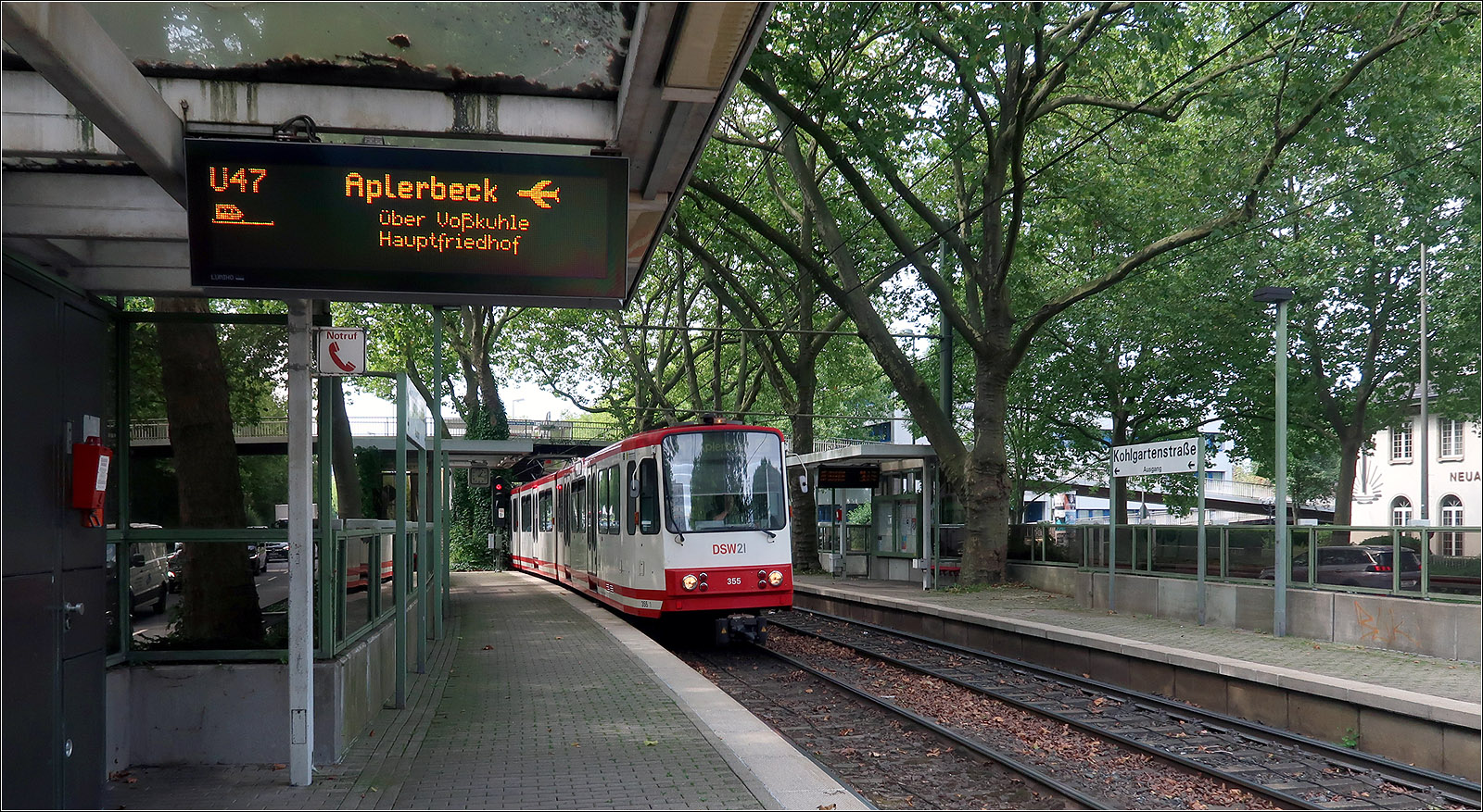 Die Dortmunder U47 im Westfalendamm - 

Die meisten Haltestellen entlang des Westfalendammes sind noch nicht mit Hochbahnsteigen ausgerüstet. Dies sollte im Zusammenhang mit dem Ausbau der Bundesstraße geschehen. Wenn ich es richtig verstanden habe, verzögert sich dieser Ausbau und der stadtbahngerechte Ausbau der Haltestellen soll unabhängig davon geschehen.

Im Bild B80C an der inmitten von Bäumen liegende Haltestelle Kohlgartenstraße.

21.08.2023 (M)

