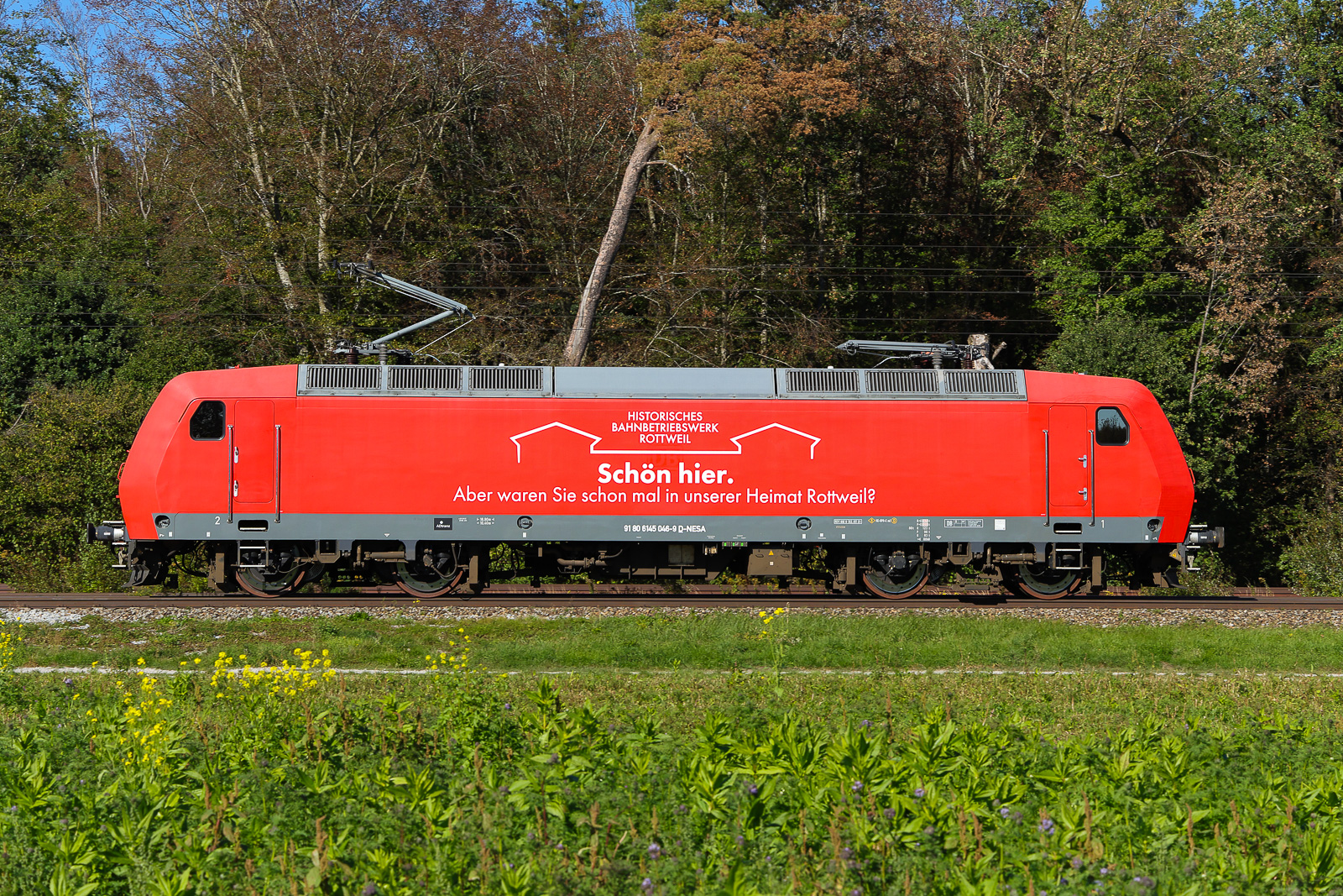 Die NeSA erweiterte kürzlich ihre Fahrzeugflotte um eine weitere leistungsstarke Elektrolokomotive. 
145 046-9 ex DBC am 25/9/26 bei Eglharting.