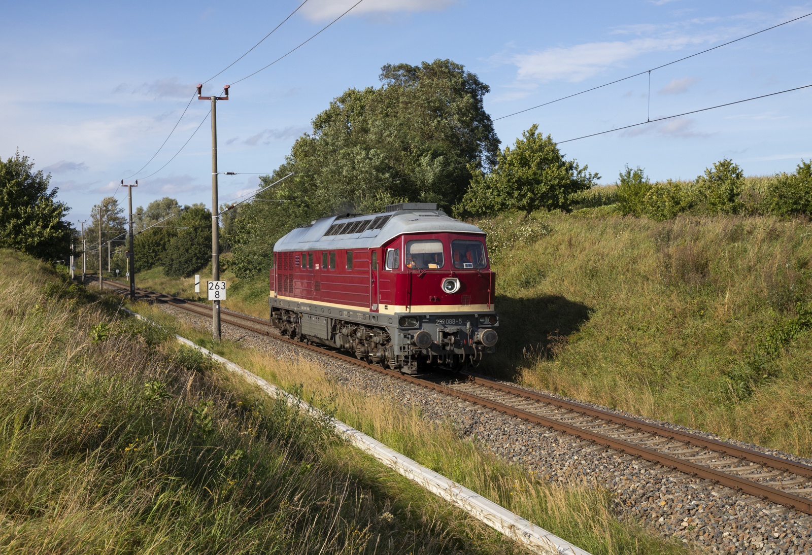 Die Salzland Rail 232 088 rollte am 20.09.2023 von Mukran nach Bergen. Aufgenommen bei Borchtitz.