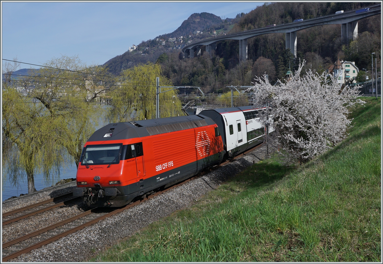 Die SBB Re 460 073-0 ist mit einem Doppelstock IR 90 von Genève Aéroport nach Brig beim Château de Chillon unterwegs, welches zugunsten des blühenden Strauch rechts im Bild bei der Bildgestaltung hinter den Bäumen links im Bild platziert wurde.  

21. März 2023
