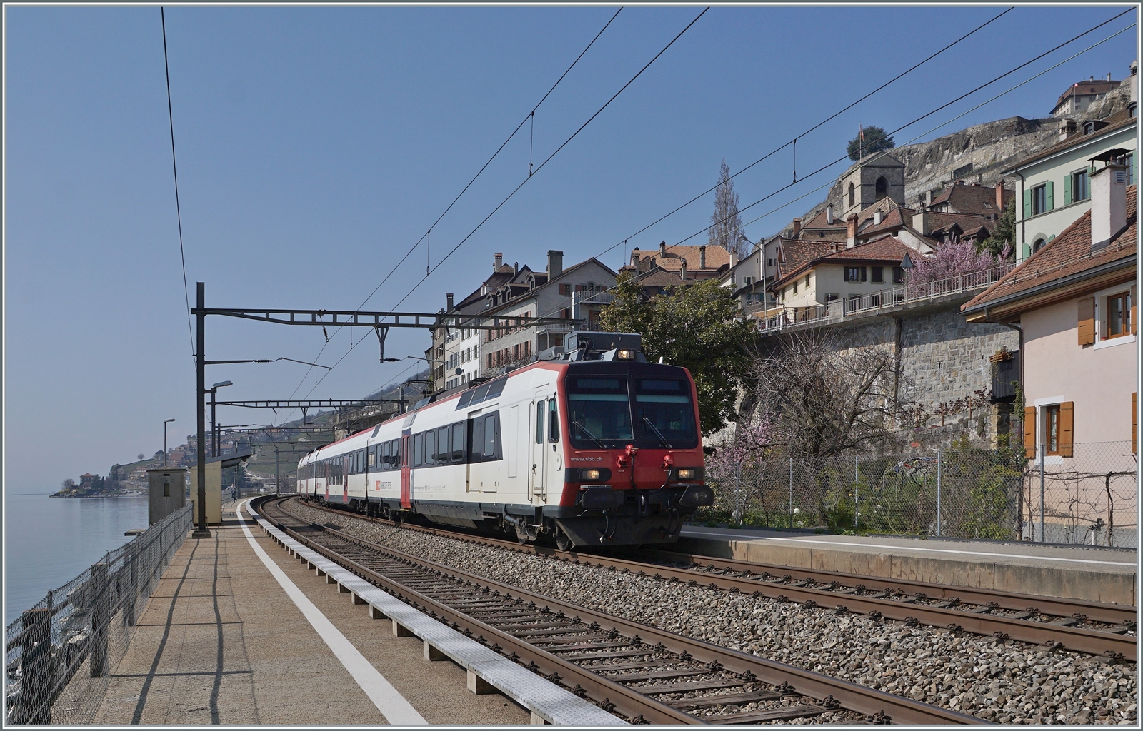 Die  Train des Vignes  Züge werden jeweils am frühen Nachmittag ausgetauscht und somit kommt meist ein SBB Domino von Lausanne als Leermaterialzug nach Vevey (und kurz darauf der Gegenzug nach Lausanne) Das Bild zeigt einen SBB RBDe 560 Domino auf der Durchfahrt in St-Saphorin. 

25.. März 2022