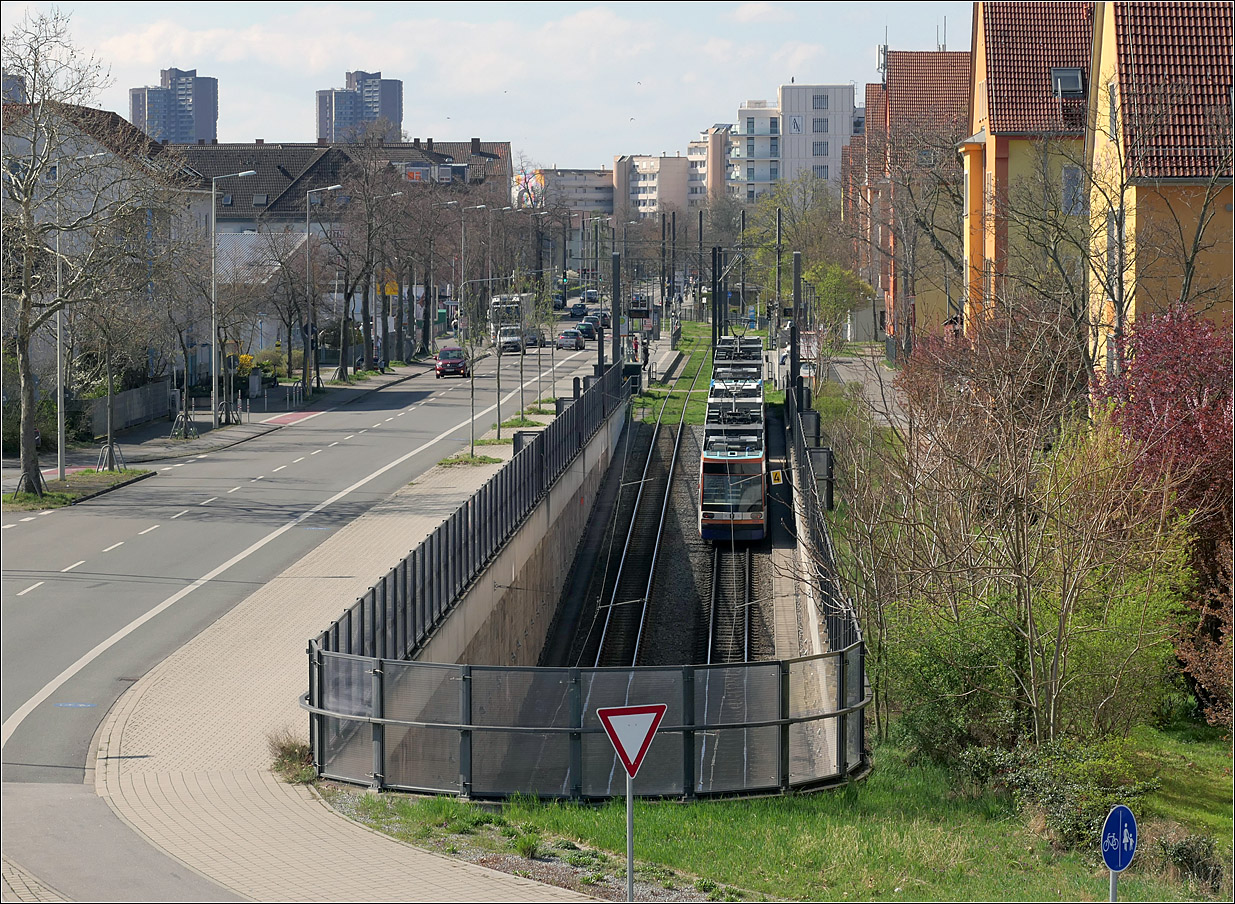 Ein Blick von oben - 

... auf die westliche Tunnelausfahrt der Straßenbahnstrecke unter der östlichen Riedbahn. Die Strecke führt hier weiter zum Teil in der Straßenfahrbahn der Ulmenstraße in Richtung der Mannheimer Innenstadt. In relativ ruhigen Straßen bietet es sich an eine neue Straßenbahnstrecke auch ganz klassisch mit Gleisen in der Straße anzulegen um so den Eingriff ins Umfeld zu minimieren.

27.03.2025 (M)