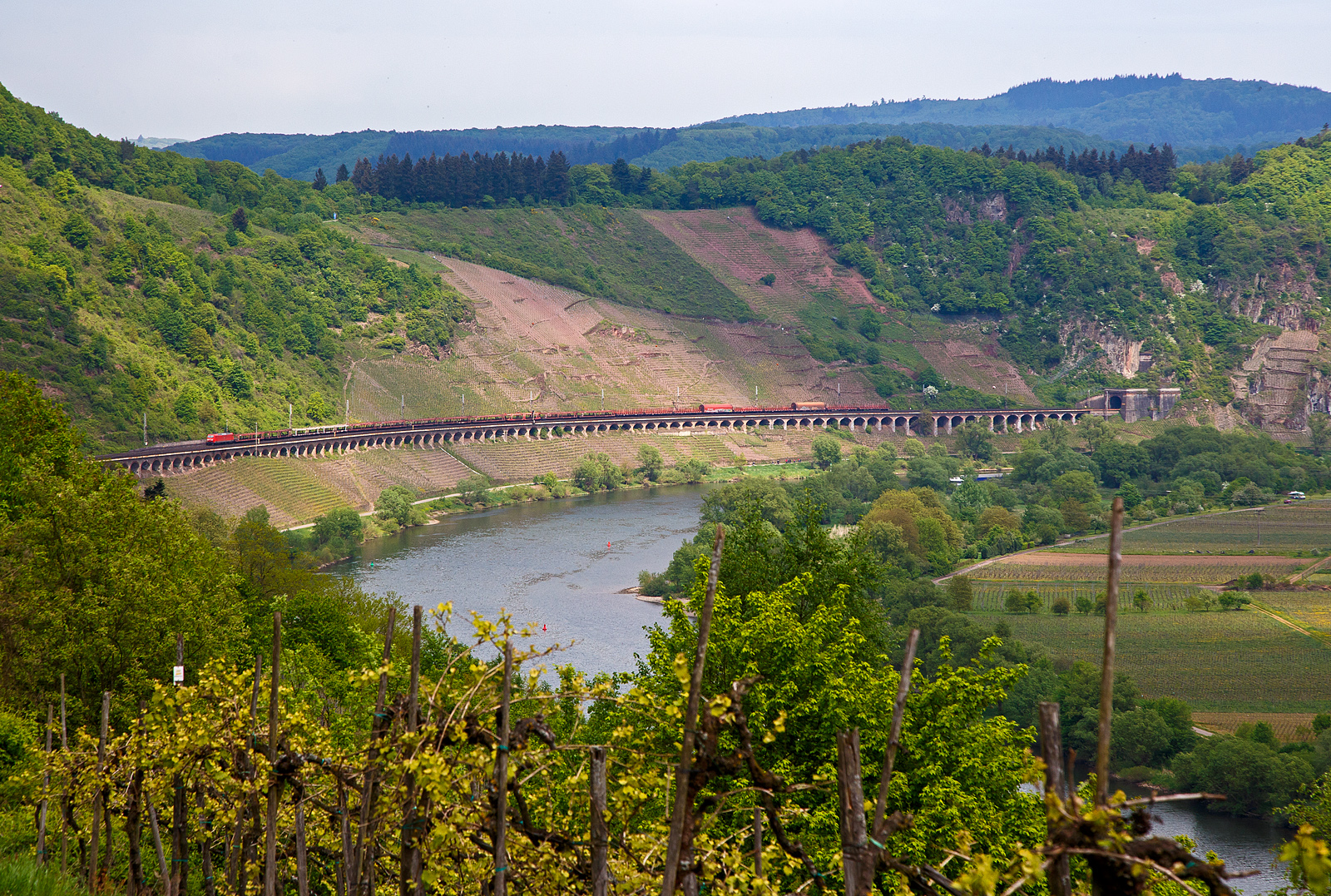 Eine 185er (Bombardier TRAXX F140 AC1) der DB Cargo AG fährt am 29.04.2018 mit einem gemischten Güterzug auf dem Pündericher Hangviadukt in Richtung Trier.

Der 786 m lange Pündericher Hangviadukt auf der Moselstrecke gegenüber von Pünderich an der Mosel ist der längste Hangviadukt in Deutschland. Unmittelbar am nördlichen Ende des Viaduktes beginnt der Prinzenkopftunnel (hier rechts im Bild). Der Hangviadukt ist etwa zehn Meter hoch und weist 92 Bögen auf. Jeder der Bögen hat eine lichte Weite von 7,20 m, die Pfeiler sind 1,30 m stark. Die Brücke besteht aus Bruchsteinen aus einem nahegelegenen Steinbruch und Ziegelsteinen, die von Ziegeleien aus Merl und St. Wendel geliefert wurden. Insgesamt wurden 19.000 m3 Mauerwerk verbaut.