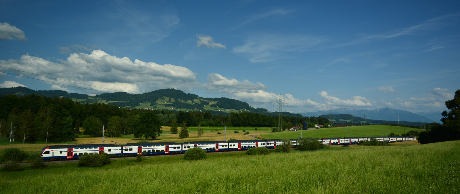 Eine RABe 511-Doppeltraktion als S5 zwischen Bubikon und Wetzikon am 13.06.2015.