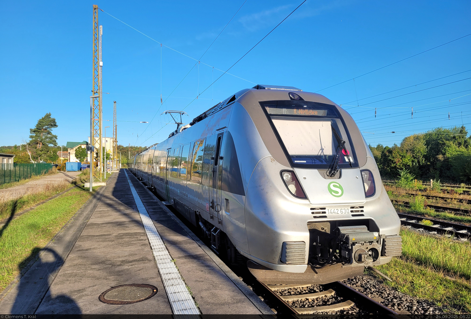 Eine �berdimensionierte S-Bahn mit 1442 630 und 1442 213 (Bombardier Talent 2) wartet im Startbahnhof Halle-Nietleben auf Abfahrt.
Normalerweise reicht innerhalb von Halle (Saale) eine Einheit, aber f�r den st�rker frequentierten Abschnitt Richtung Leipzig wird der zweite Triebzug bereits von hier mitgezogen. Meist kommt dieser erst in Halle(Saale)Hbf dazu oder es bleibt bei einem.

🧰 S-Bahn Mitteldeutschland (DB Regio S�dost)
🚝 S3 Halle-Nietleben–Wurzen
🕓 24.9.2025 | 8:22 Uhr