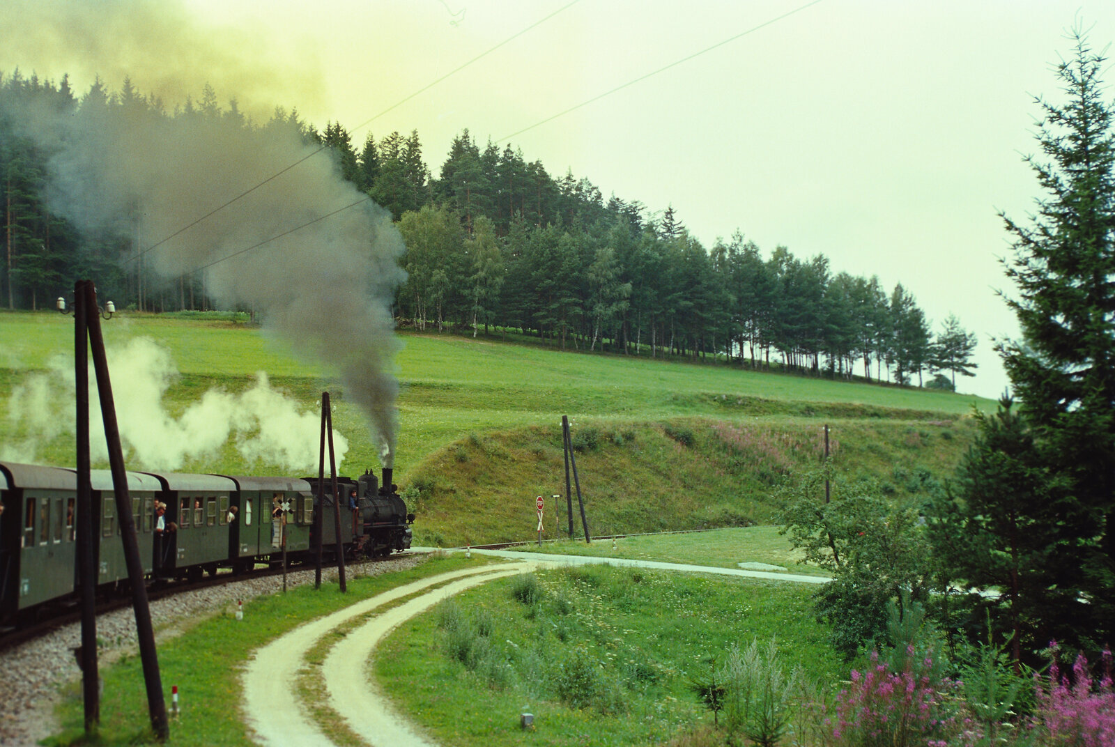 Erlebnis Waldviertelbahn (wohl auf dem Südast). Sonderfahrt mit ÖBB-Dampflok 399.03 und vielen Wagen.
Datum: 20.08.1984